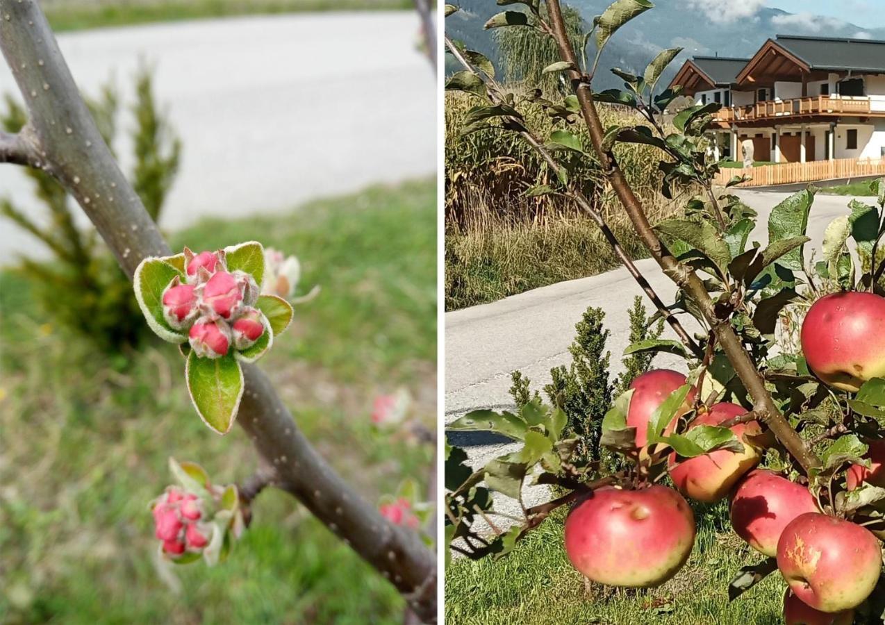 Malvasia Apart Daire Stumm Dış mekan fotoğraf
